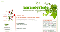 Desktop Screenshot of lagrandesante.com